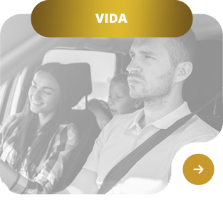 Vida